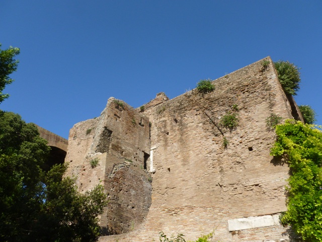 P1020481