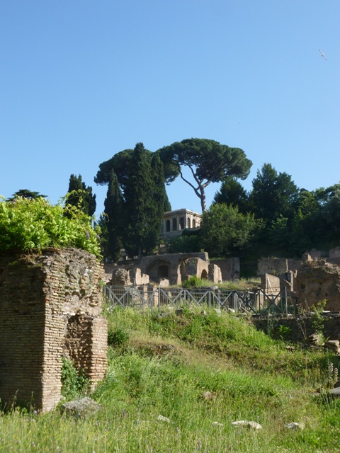 P1020482