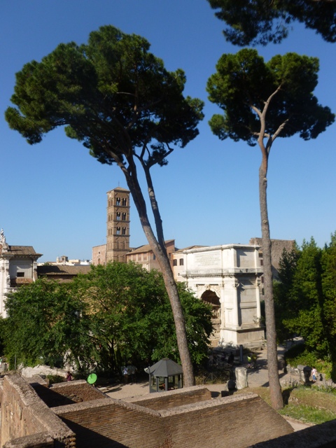 P1020507
