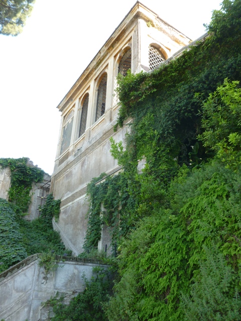 P1020511