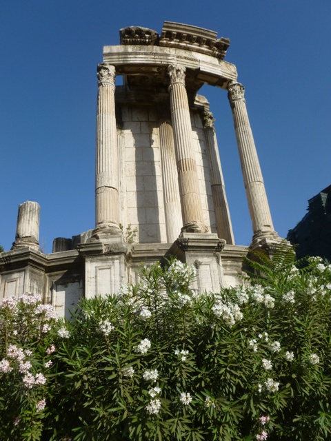 P1020524