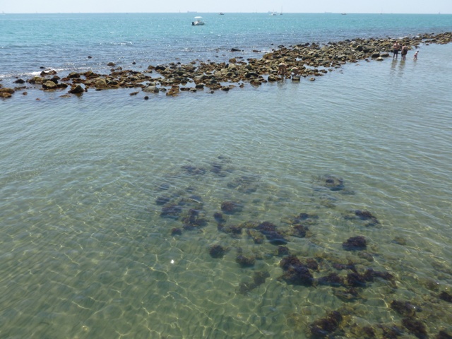 P1020598