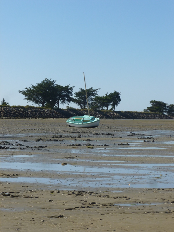 P1040033