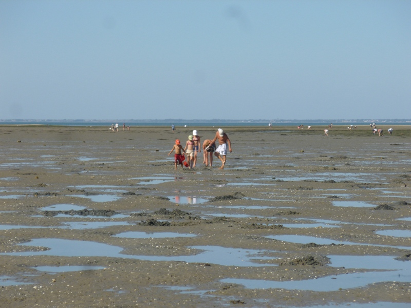 P1040044
