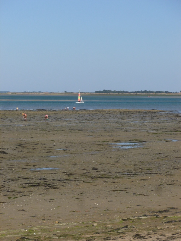 P1040051