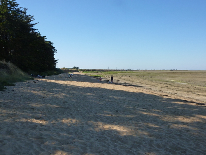 P1040052