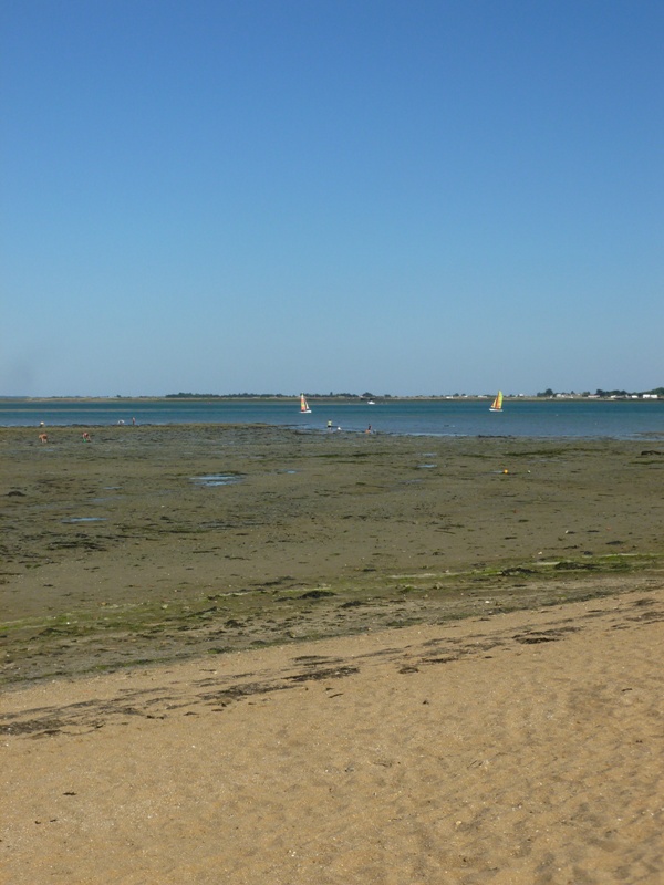 P1040054