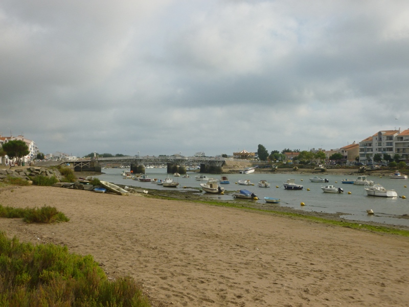 P1040126