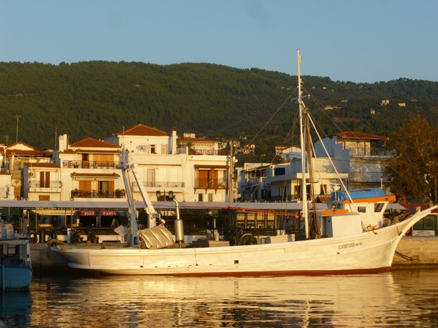 P1050194