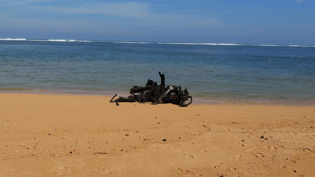 DSCN1091