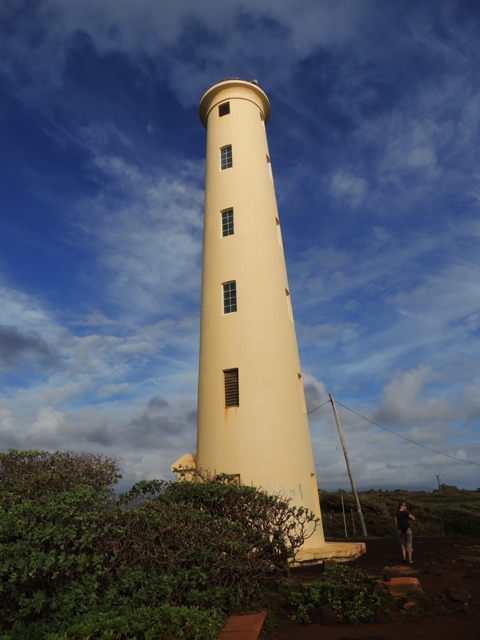 DSCN1446