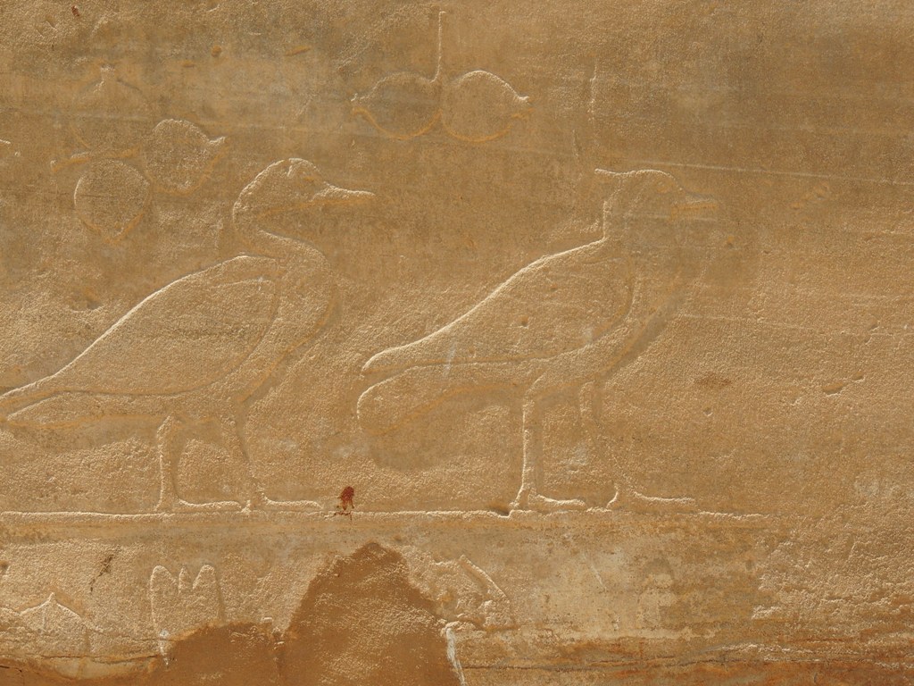 DSCN2377