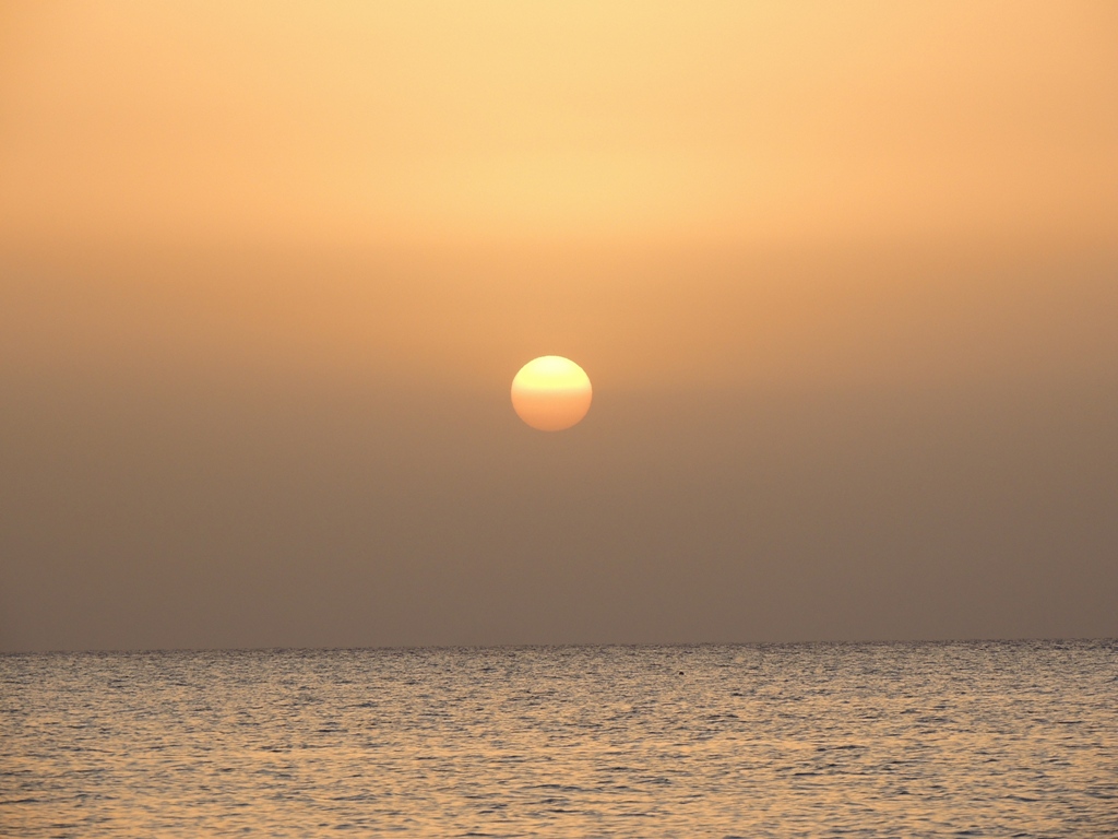 DSCN2602