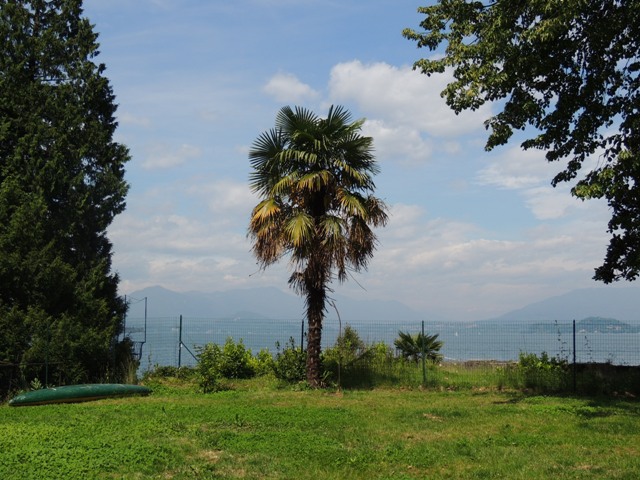 DSCN2709
