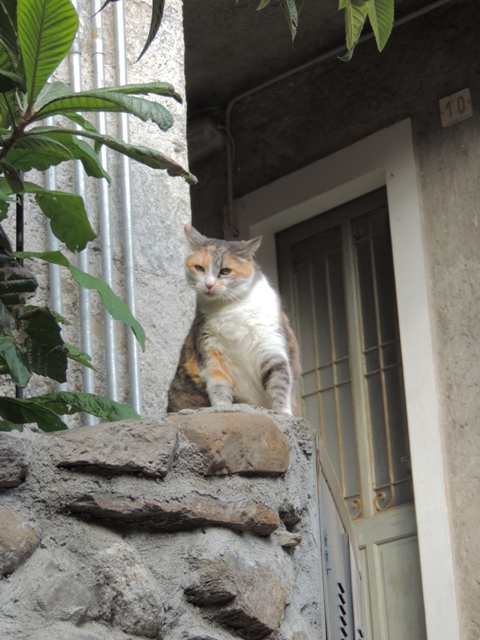 DSCN2788