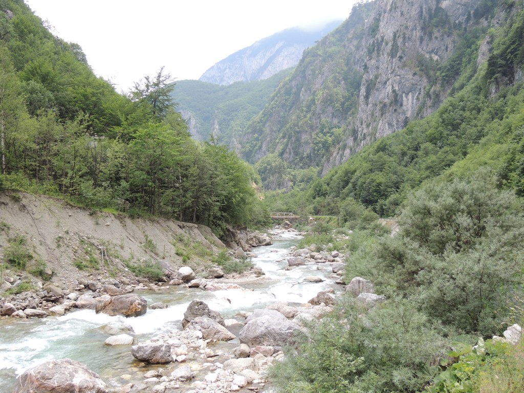 DSCN3546