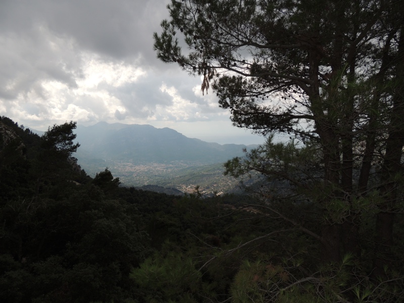 DSCN4368