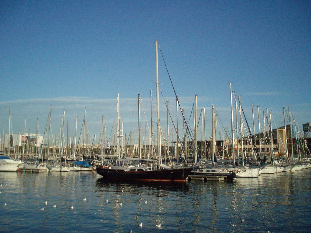 P7240674