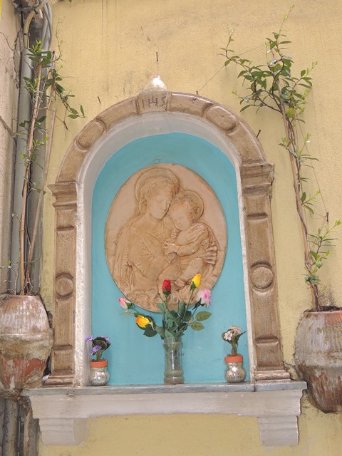 DSCN7491