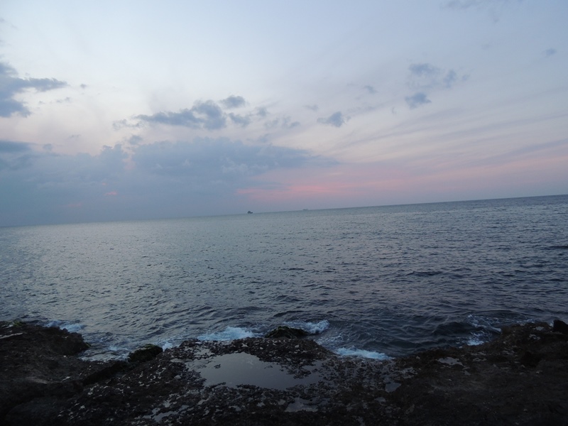 DSCN7940