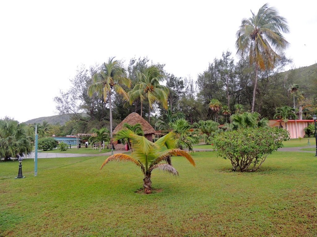FSCN8749