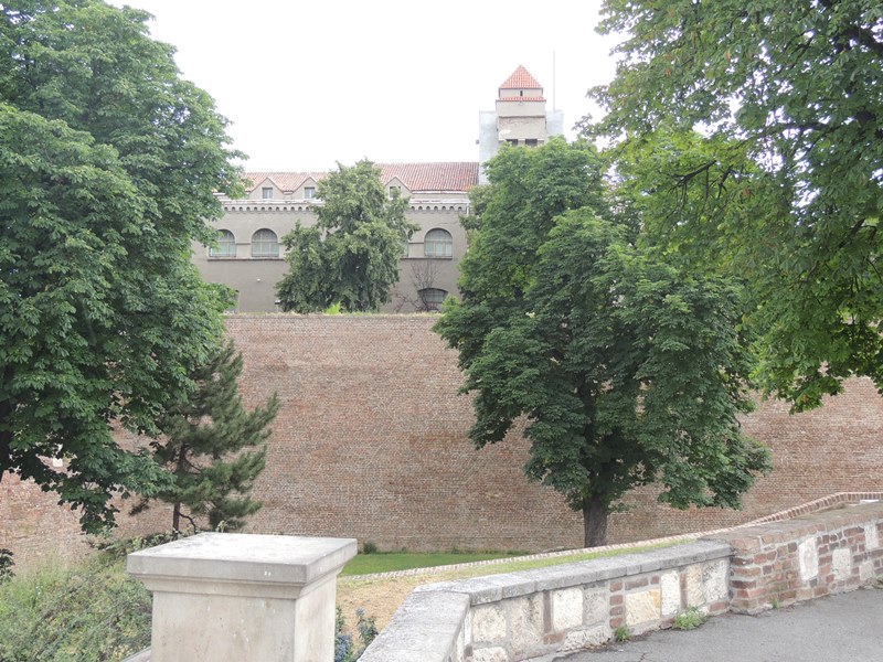 DSCN8876