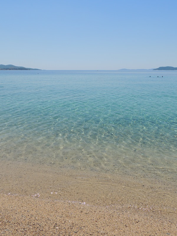 DSCN9100