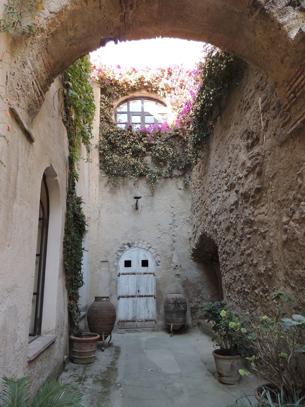 DSCN9761