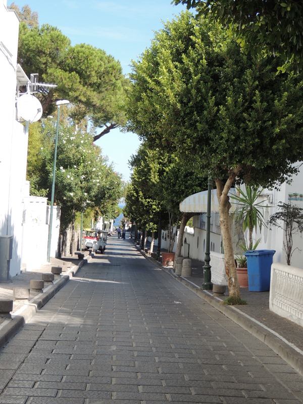 DSCN9725
