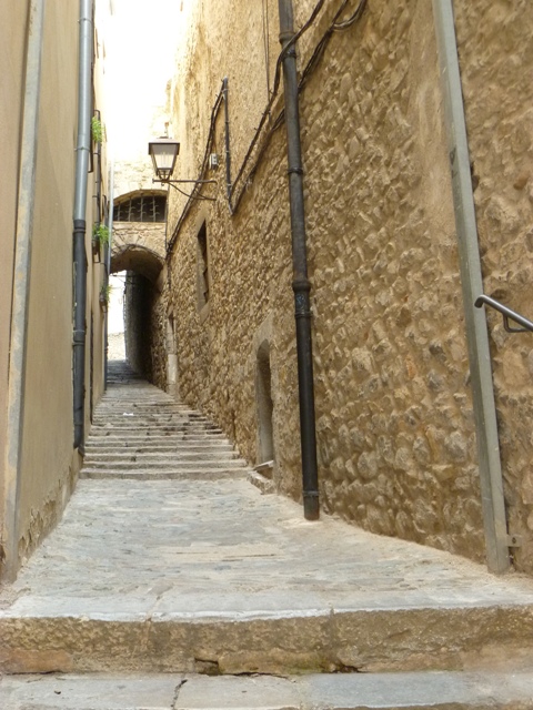 P1000545