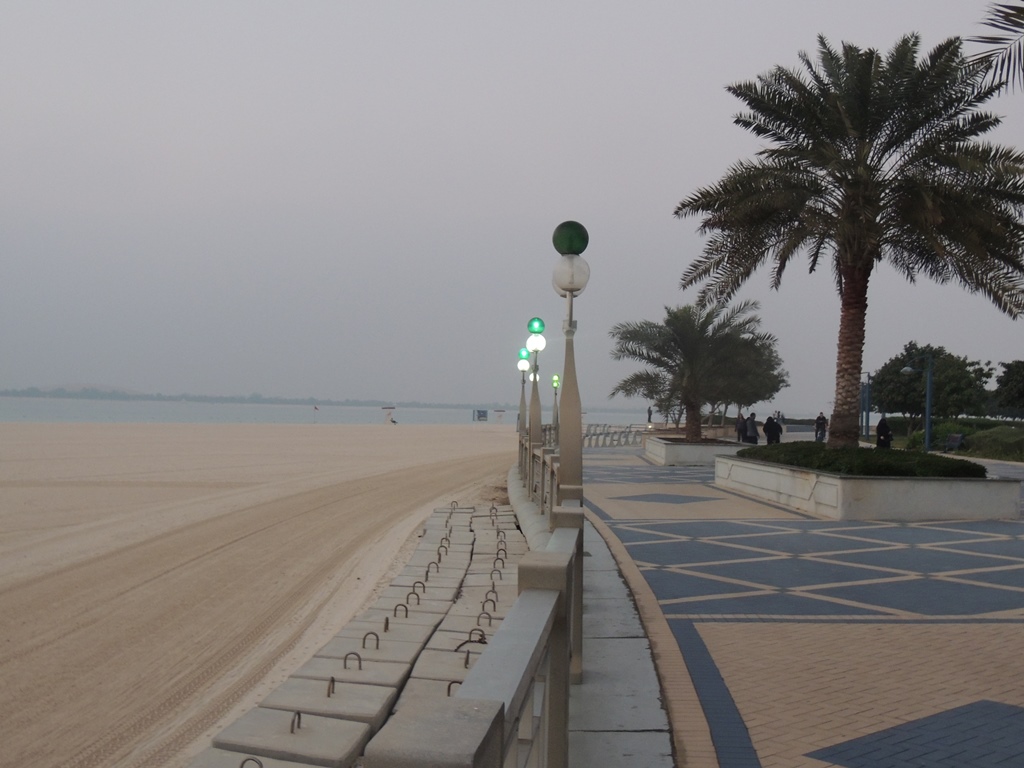 DSCN0698