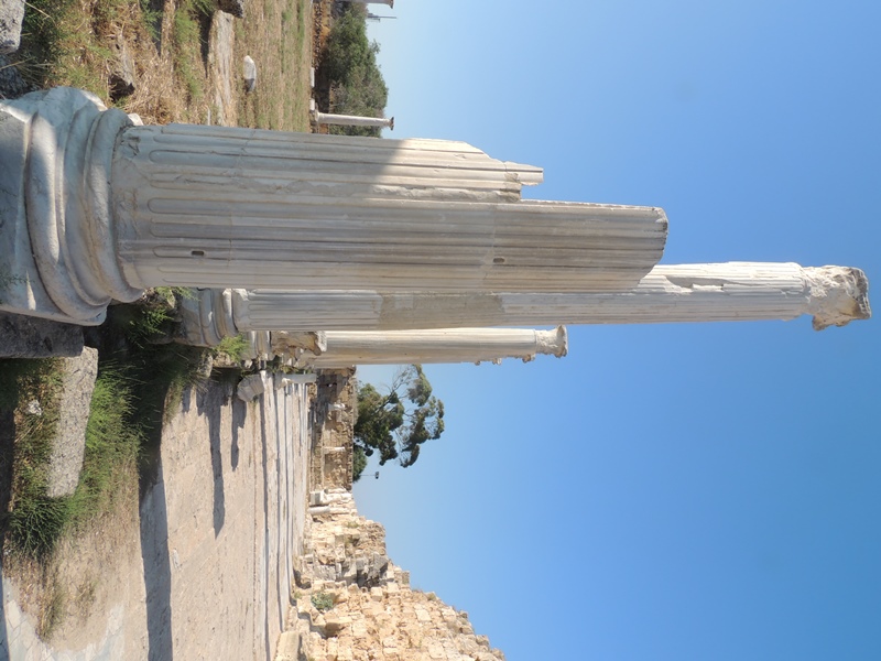 DSCN0176